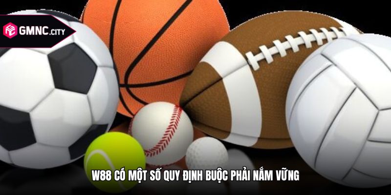 W88 có một số quy định buộc phải nắm vững